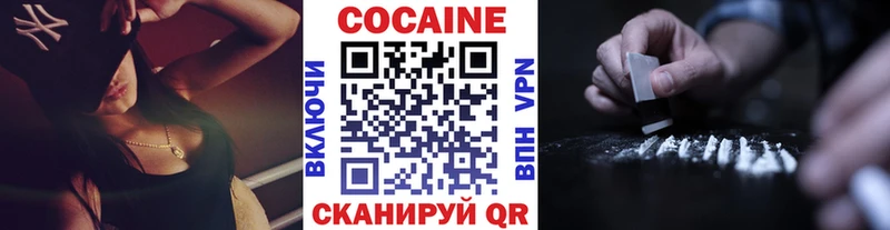 где купить наркоту  Алдан  Cocaine FishScale 