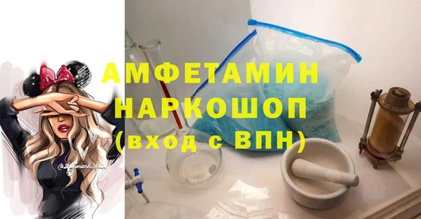 Альфа ПВП Няндома