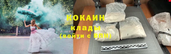 Альфа ПВП Няндома