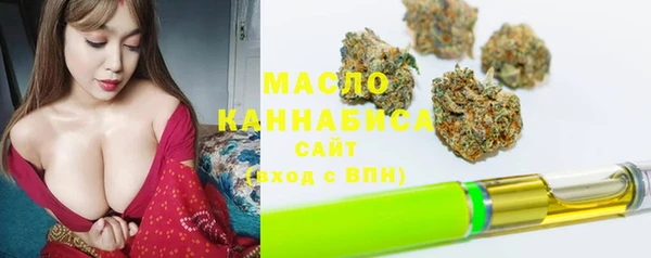 Альфа ПВП Няндома