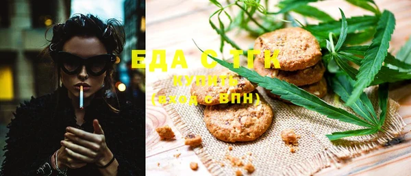 индика Аша
