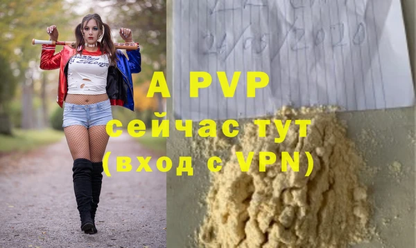 Альфа ПВП Няндома