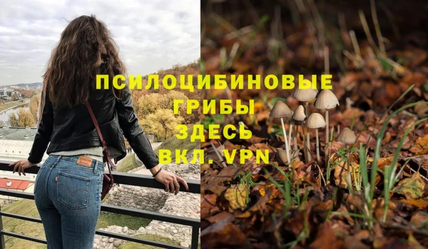 Альфа ПВП Няндома